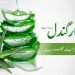 aloe vera-zakhmo (Wound remedies) ko bahr de- Kawar gandal- healing