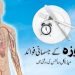 roza k jismani fawaid medical science ki roshni me(fasting benefits)