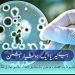 بیکٹیریا (Bacterium) ایک ہوشیار دشمن-bacteria