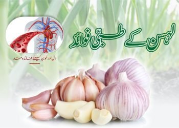 لہسن کے طبی فوائد-garlic health benefits for heart