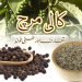 کالی مرچ-تعارف اور طبی فوائد-black pepper