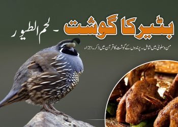batair ka gosht-quail