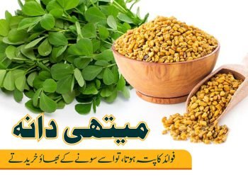 methi danay-Fenugreek seed