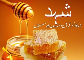 -شہد-shahad-ke-fayde-quran-o-hadees-طب و حکمت-(honey benefits)