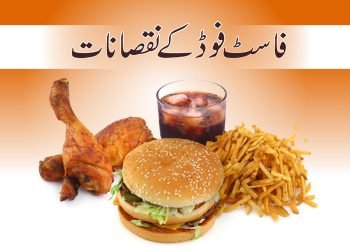-فاسٹ فوڈfast-food-junk-food-ky-nuksanat- طب و حکمت