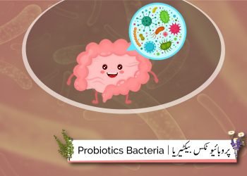 Probiotics-bacteria