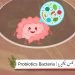 Probiotics-bacteria