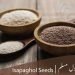 ispaghol (psyllium husk health benefits)(isabgol)