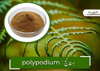 (polypodium benefits) besfaij