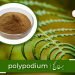 (polypodium benefits) besfaij