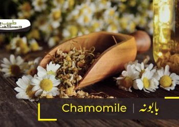 (chamomile benefits) babona