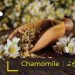 (chamomile benefits) babona