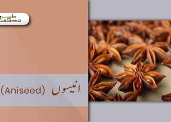 (anise remedies) aniseed