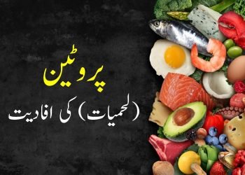 (whey protien)protein-ki-afadiyat