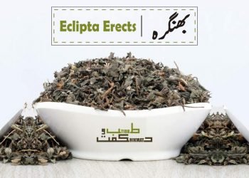 (false daisy benefits) bhangra