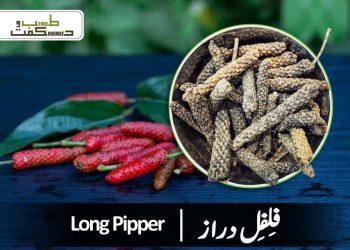 (long pipper benefits) filfil-daraz