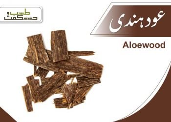 agarwood