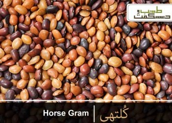 کُلتھی