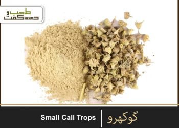 گوکھرو{خار خسک}