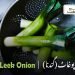 leek onion