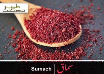 سلاجیت-شِلاجیت