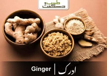 (benefits of ginger)