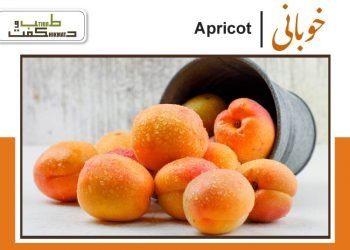apricot benefits (khubani)