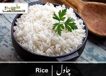 چرونجی(پریال)