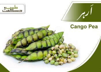 (pigeon pea benefits)