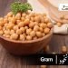 chickpea