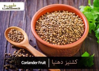 کشنیز دھنیا