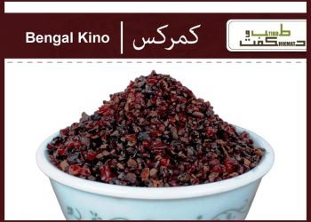 (kamarkas) bengal kino