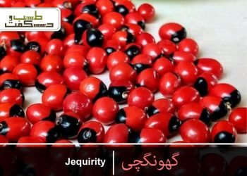 گھونگچی-رتی-گُنجا