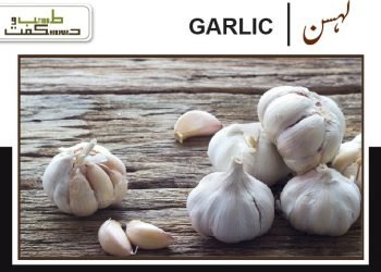 لہسن (GARLIC)