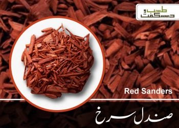 صندل سرخ
