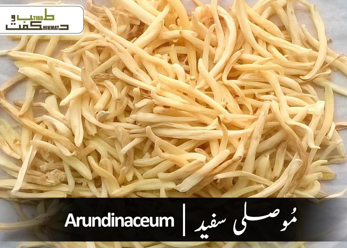 مُوصلی سفید