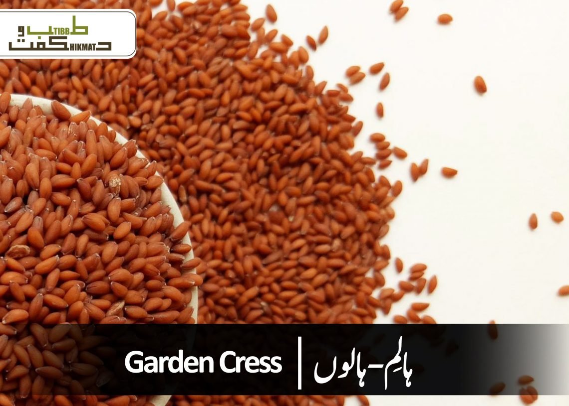 ہالِم-ہالوں