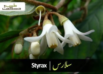 سلاجیت-شِلاجیت