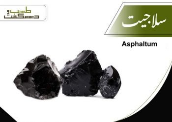 سلاجیت-شِلاجیت