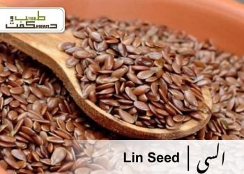 linseed