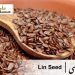 linseed