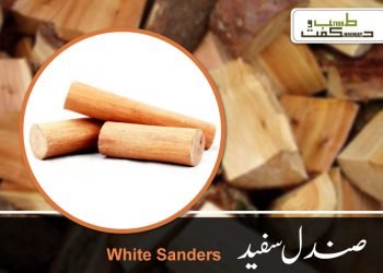 صندل سفید