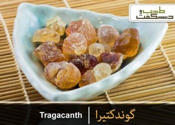 کتیرا – گوند کتیرا