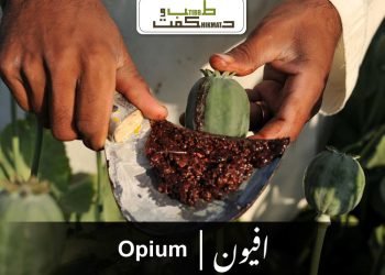 (opium)