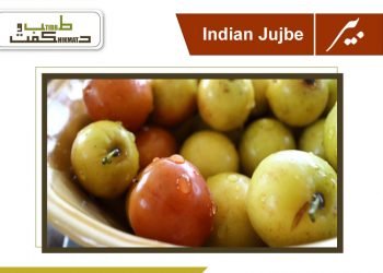 (jujube)