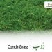 elymus repens (couch grass benefits)