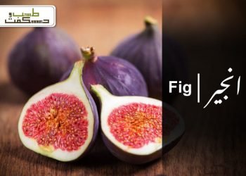 (fig)