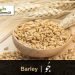 barley dalia