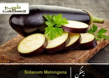 (aubergine)(eggplant benefits)