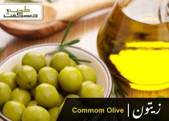 رُودرونتی ۔رودنتی